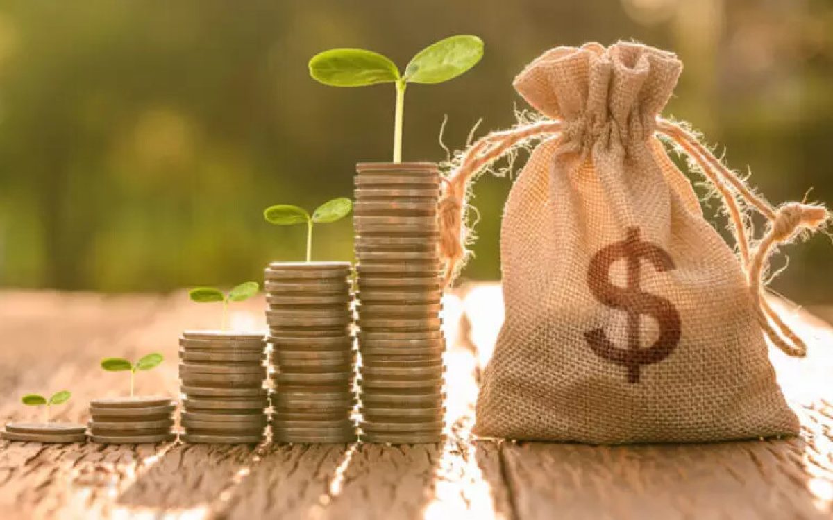 5 dicas de Investimentos para Iniciantes